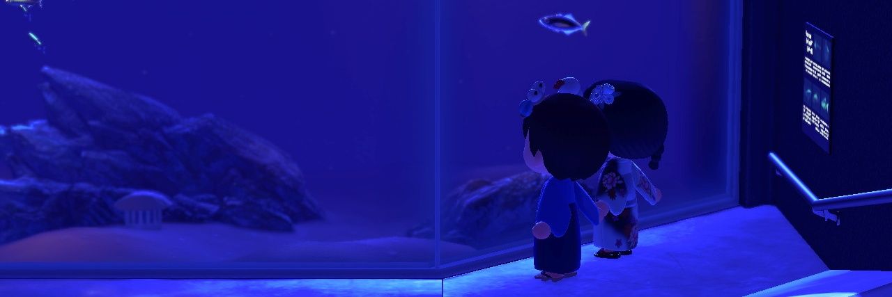 chyaha529's profile banner image