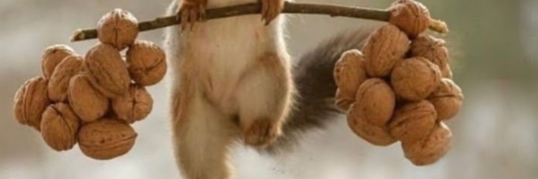 benoopsy's profile banner image
