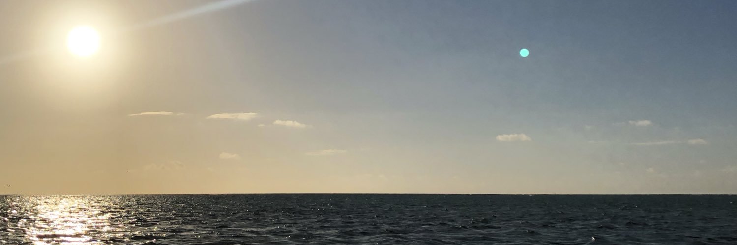 LoneWolfe_'s profile banner image