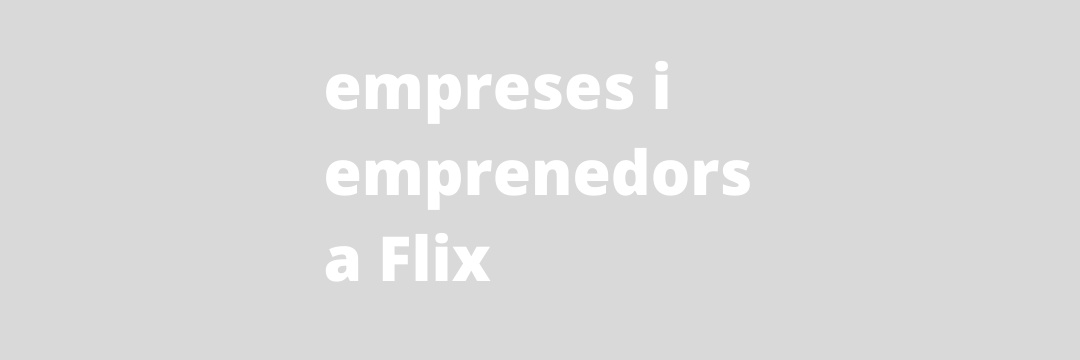 Centre d'Empreses de Flix banner