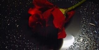 7lom5551's profile banner image