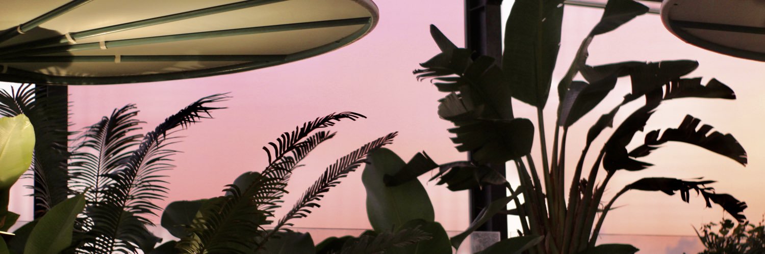 dasxpplepie's profile banner image