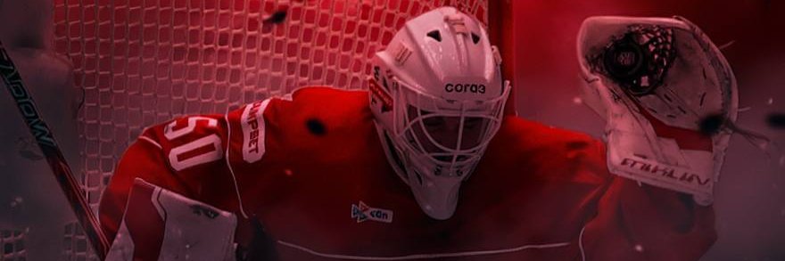 Баджо (Роберто который) banner