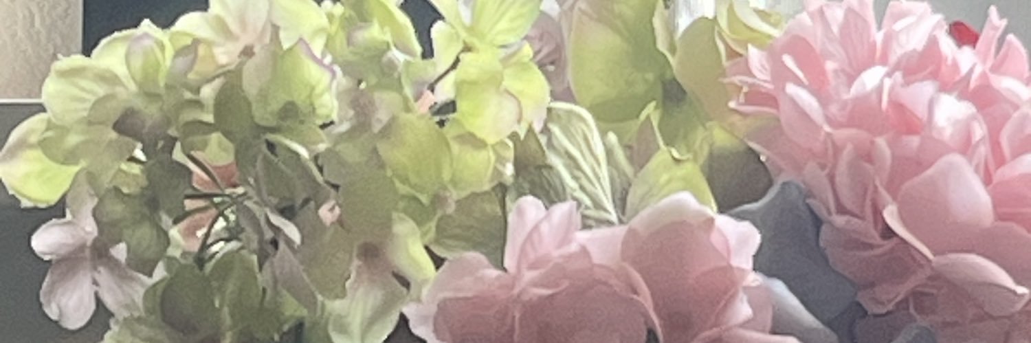 kinoko007's profile banner image