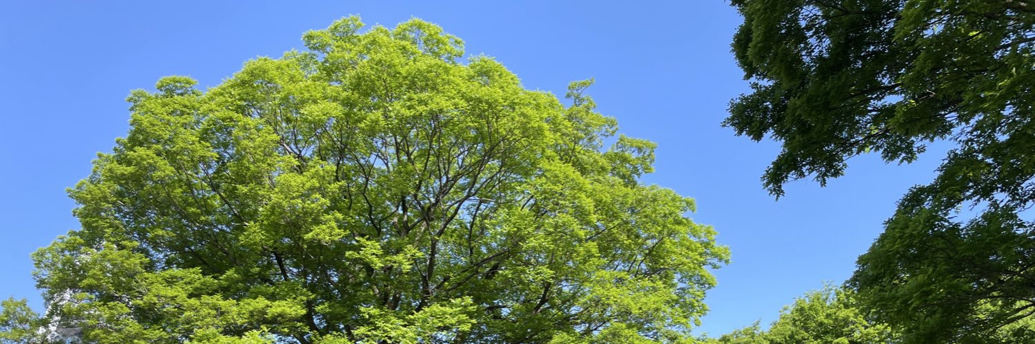 venforet's profile banner image