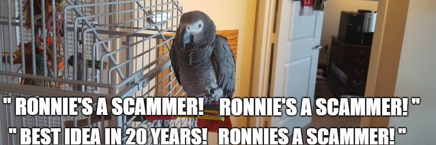 RonnieMoasScam1's profile banner image