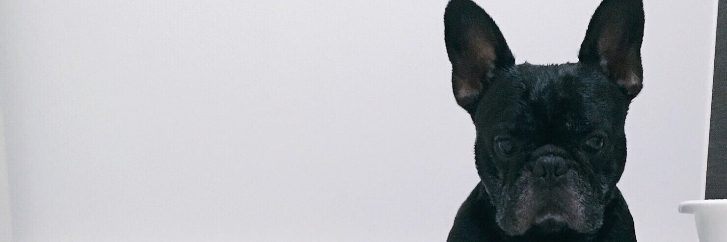olEYFpfcIFW0FeZ's profile banner image