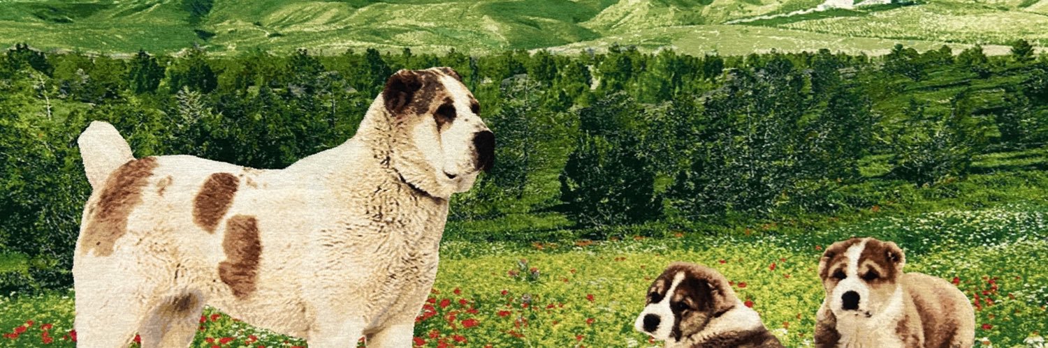 ebiosjkt's profile banner image