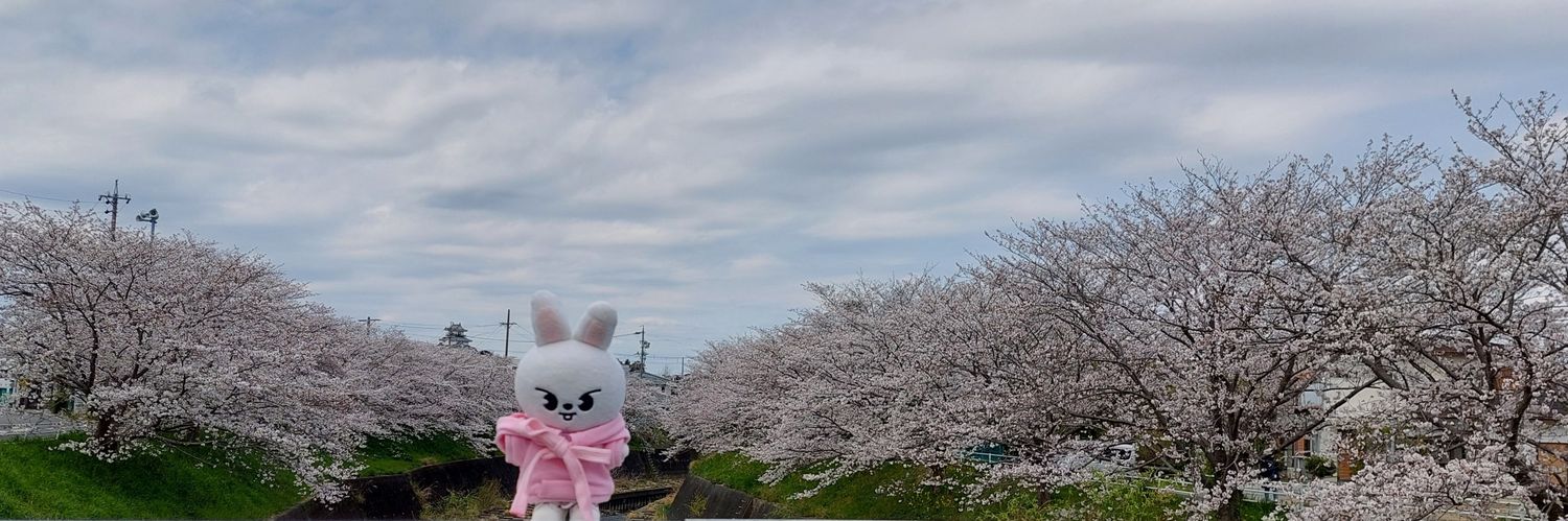 raf7nana's profile banner image