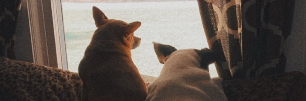 tailamilla's profile banner image