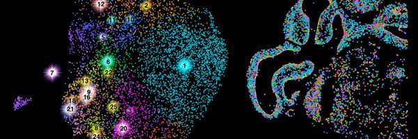 NeurogliaNerd Profile Banner