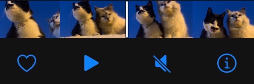 ⁷ ⁶ banner