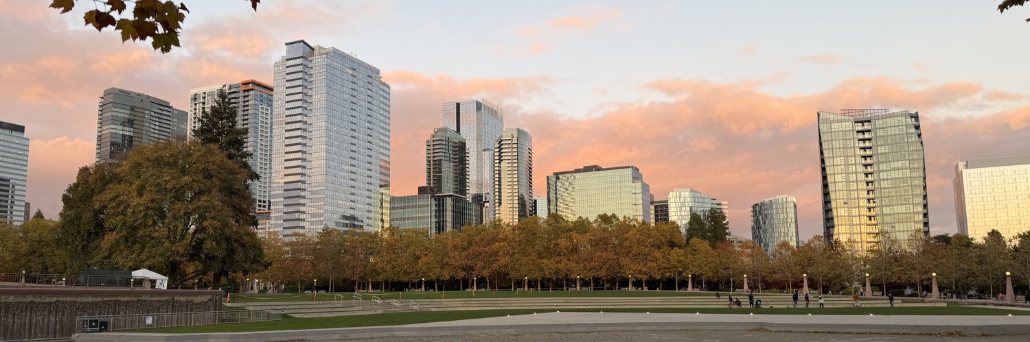 Vincenzo Meschi banner