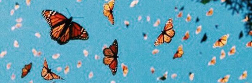 prettyred_tt's profile banner image