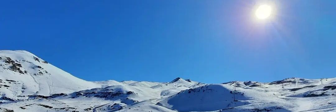 parralexi's profile banner image