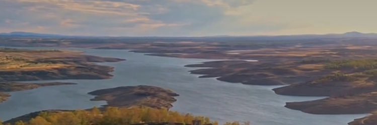 TGoliat's profile banner image