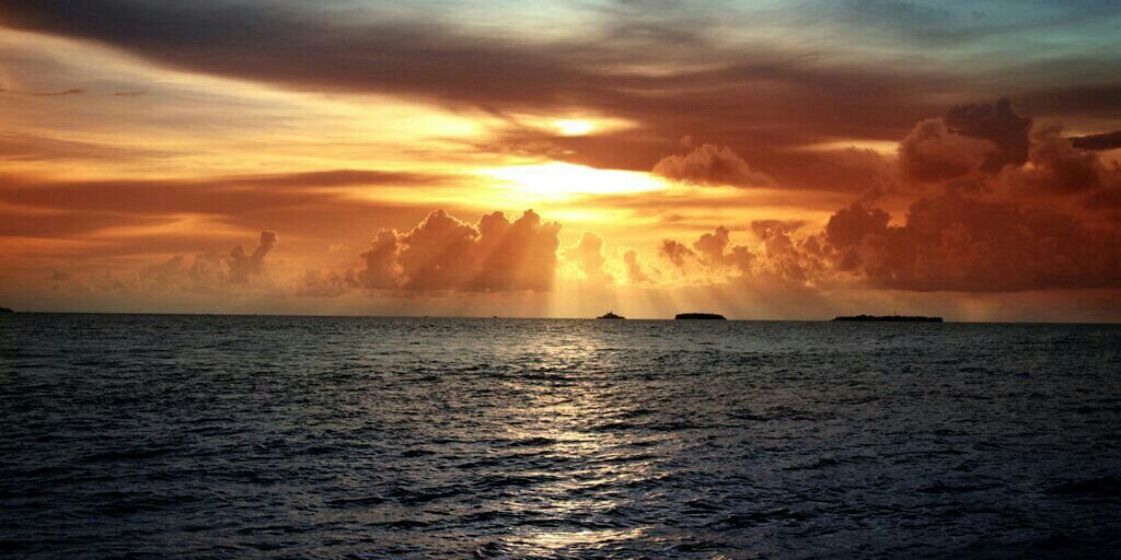 _zovvv's profile banner image