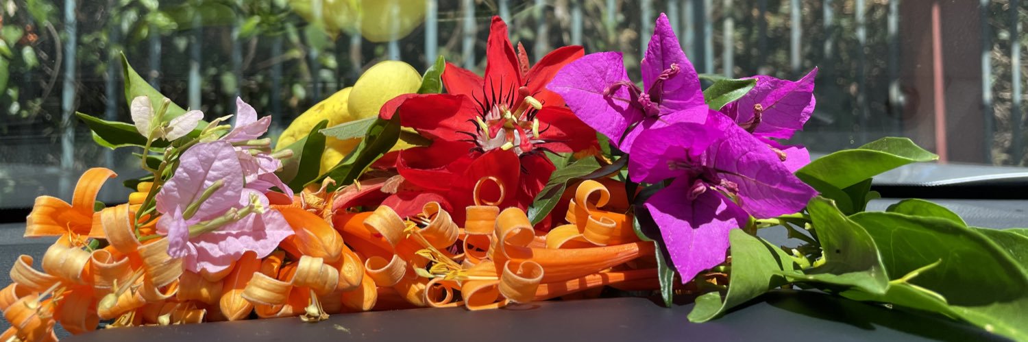 Matt Maruca 🌞 banner