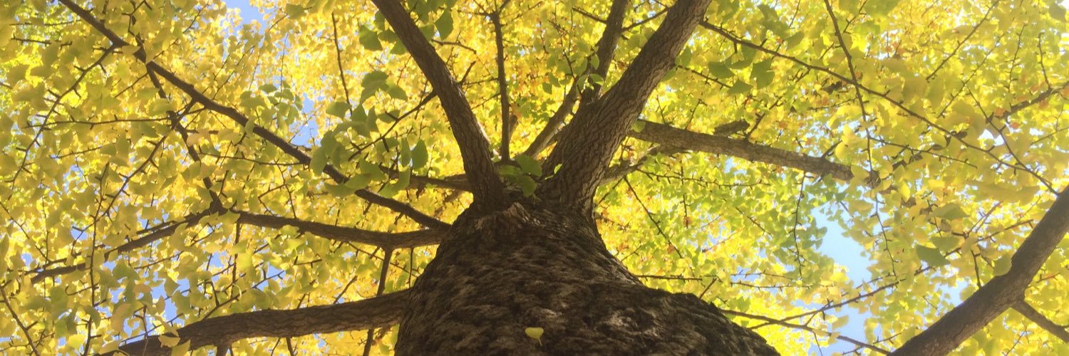 MUSANG-METAL 🦊 | AZ 💚 | ロルドリン✈️ | 白炎 🎃 banner