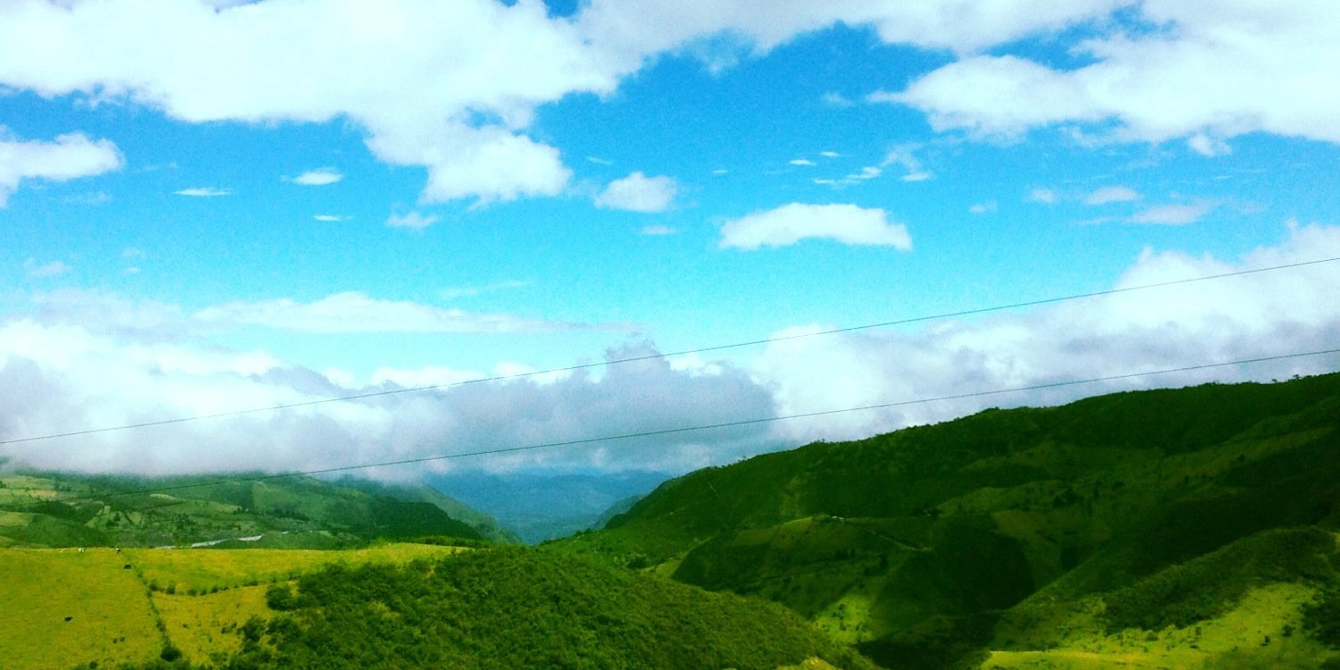 Laura Williams, DPT banner