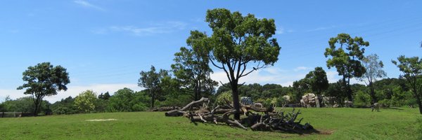 SGV_Destroyer Profile Banner