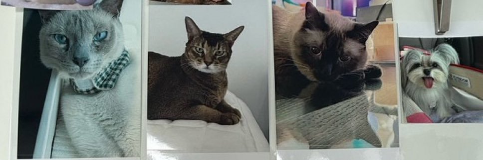 จมดลี🍎SO10³ ♡ banner