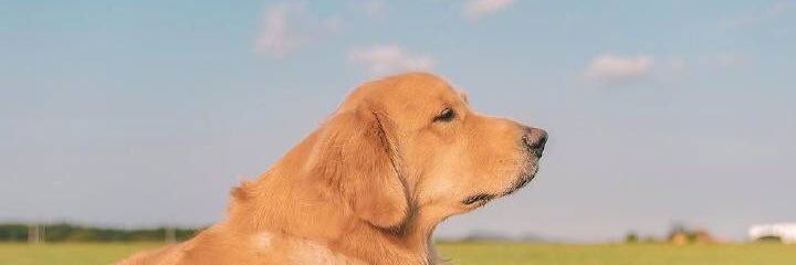 陆吉（农） banner