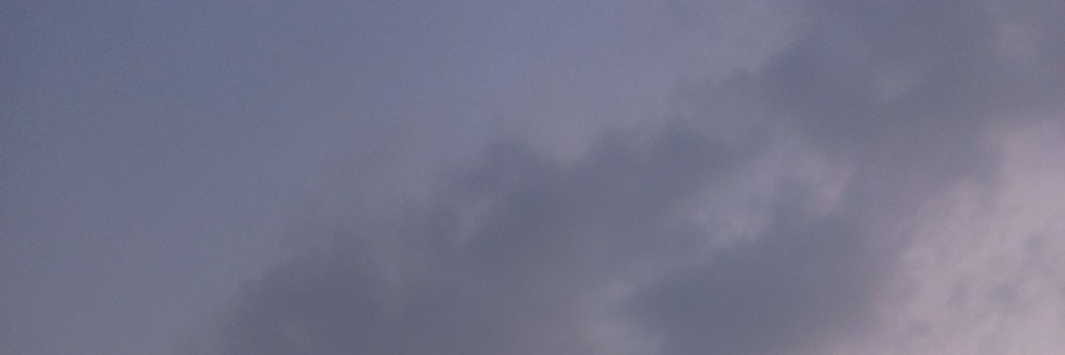 iniisasaa_'s profile banner image