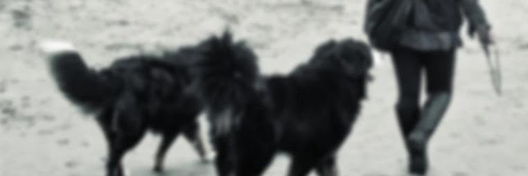 uyendee banner