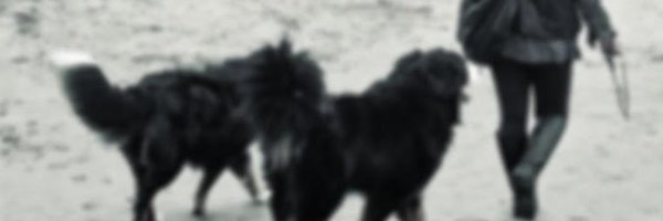 uyendee Profile Banner