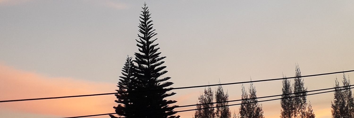 mbakdidi's profile banner image