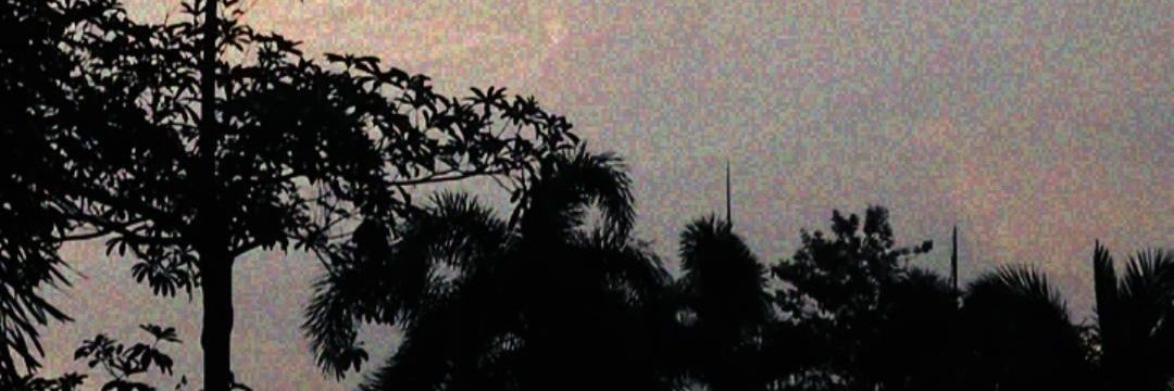 -นิว- §ไม่เล่นทุกวันอาทิตย์​§ banner