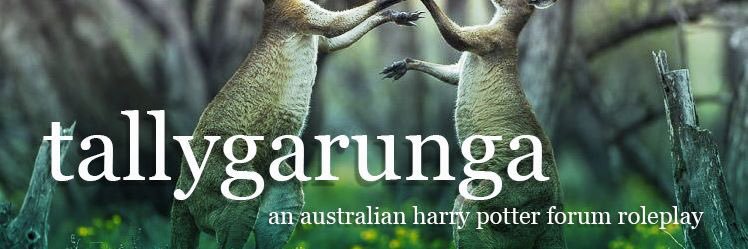 tallygarungaRPG's profile banner image