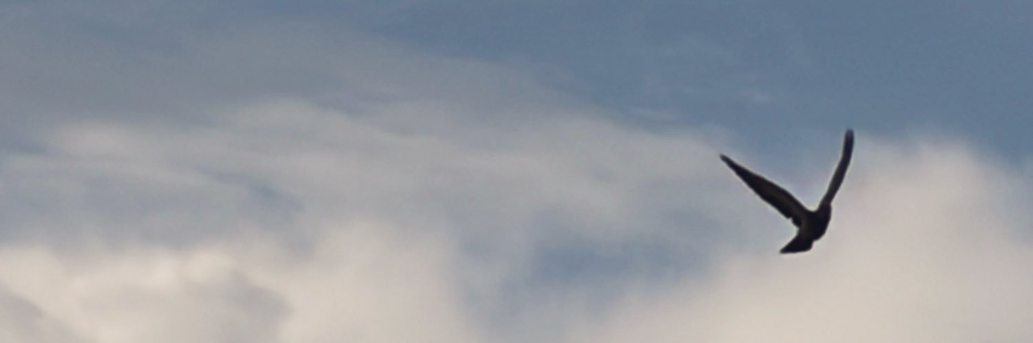 MM_Faith3's profile banner image