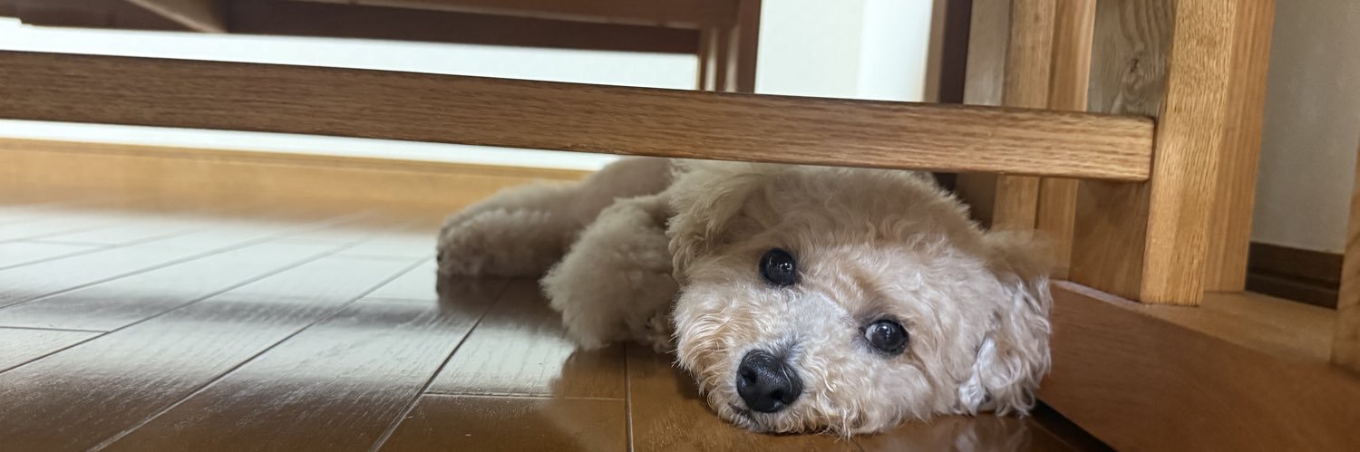 リョお banner