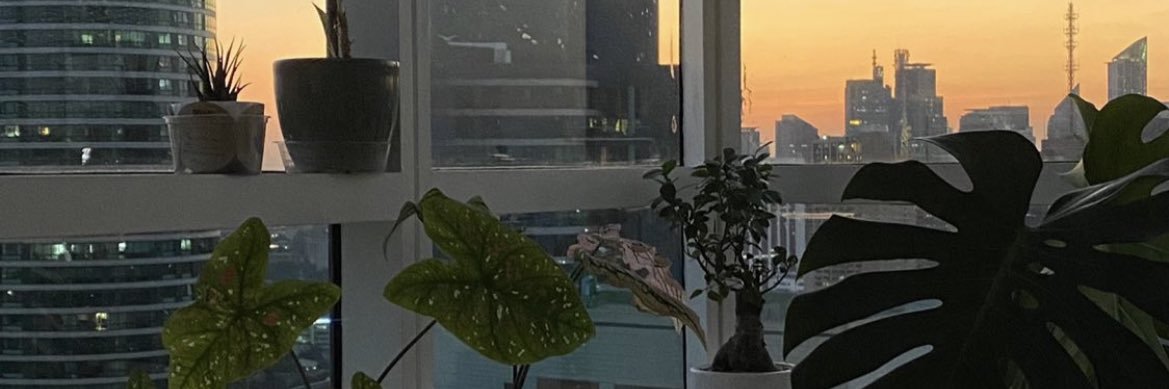 bbyangx's profile banner image