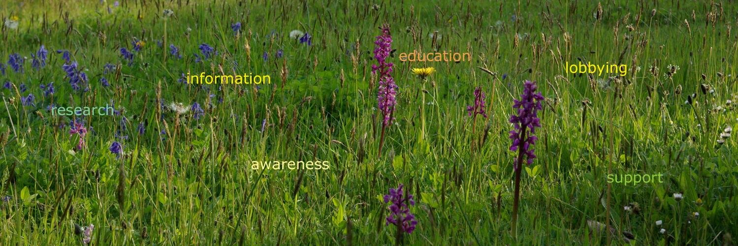 LymeAction's profile banner image