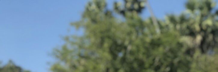 MMMeaNNN18's profile banner image