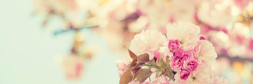 Amjaad5529's profile banner image