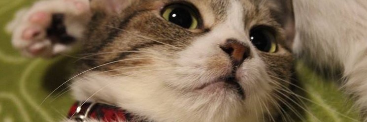 m_therese's profile banner image