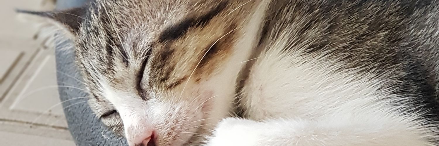 kennethmunoz_'s profile banner image