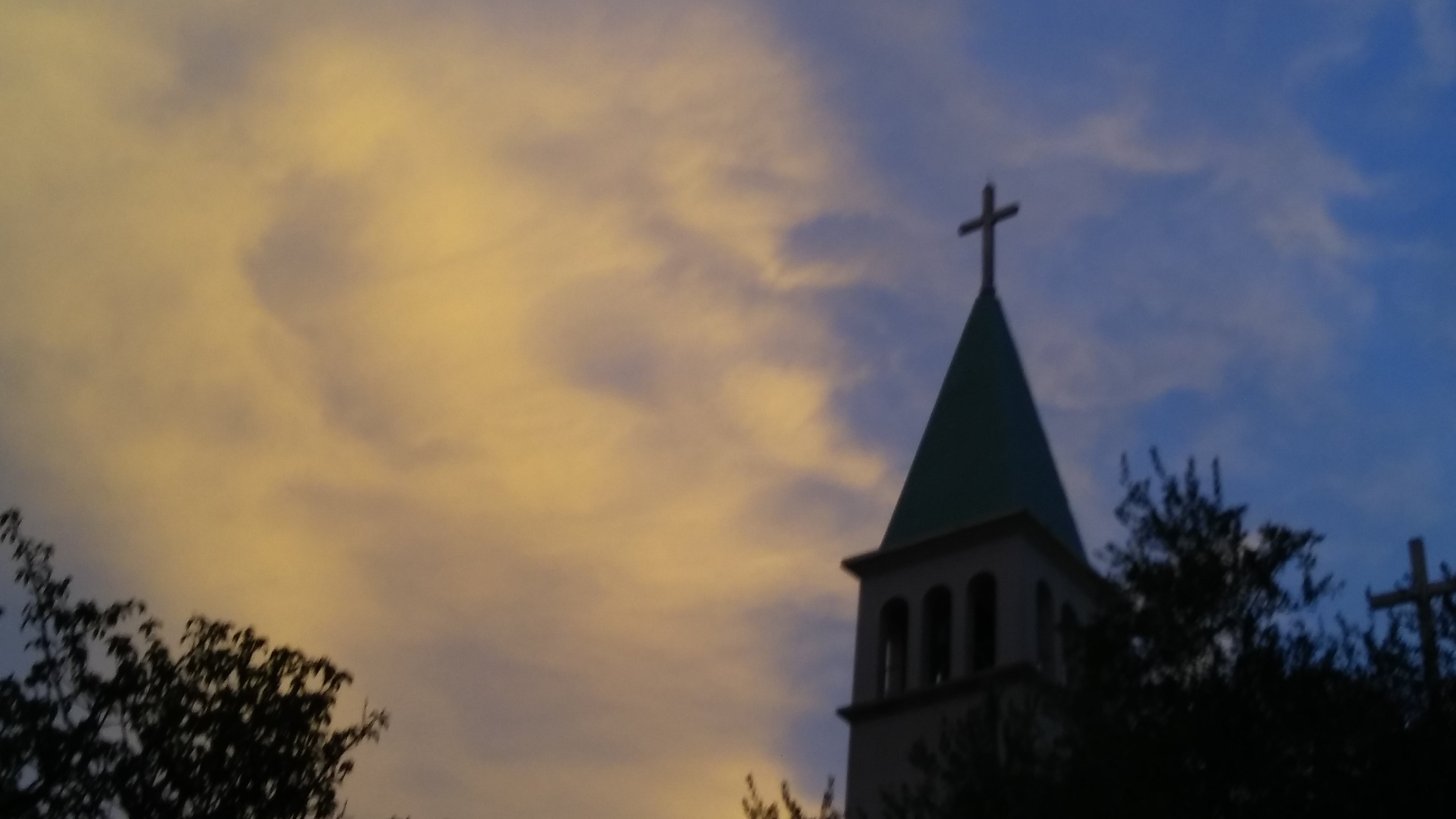 blessedrabbit's profile banner image