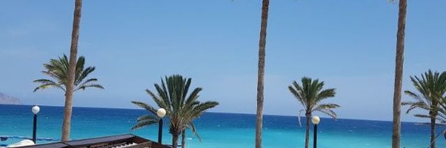 Kilo Bravo 🥷✈️🏨 banner