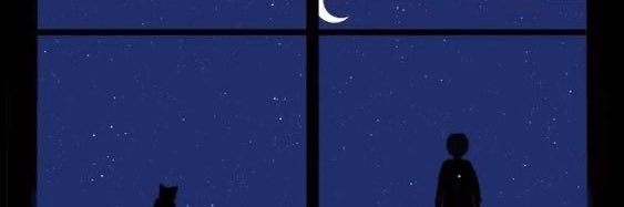 ميروسلاف🦩 banner