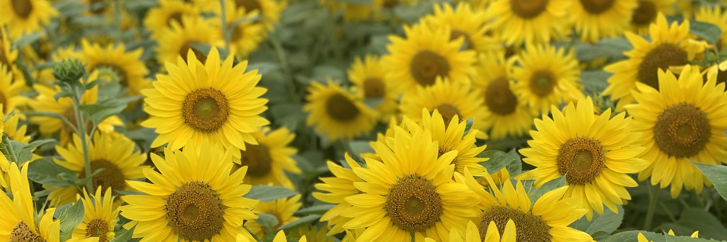 るゆた| ETHGas ⛽ banner