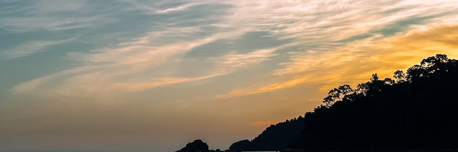 canvascami's profile banner image