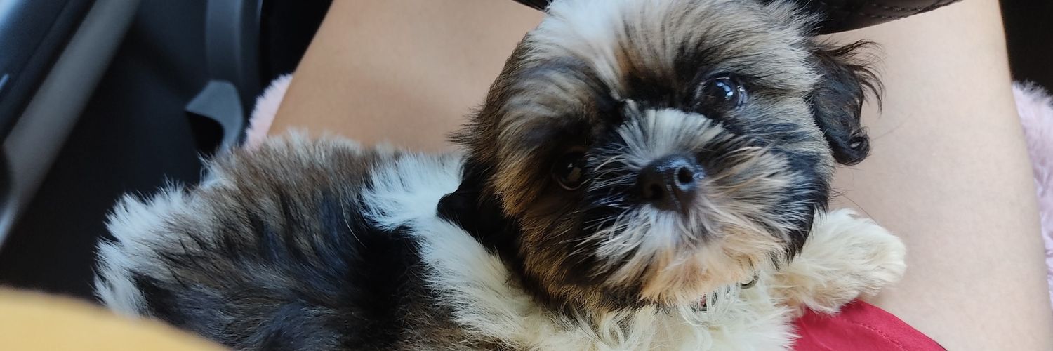 abbyuuuh's profile banner image