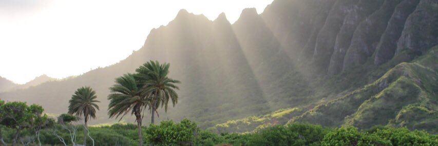 Ashish Mudgal banner