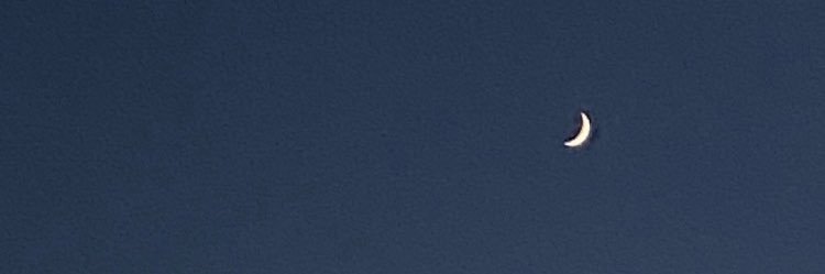 luxsofr's profile banner image