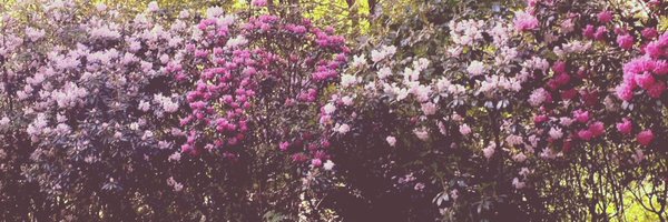 Miss_GLOlightly Profile Banner